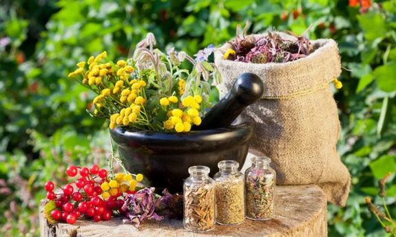 Hierbas de helmintos