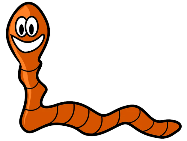 Parásitos en tu cuerpo