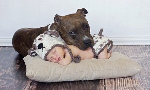 Un niño con un perro