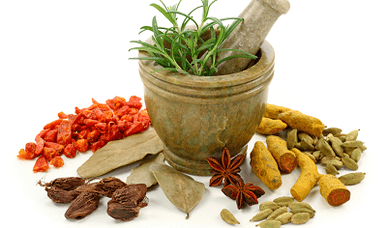 métodos para tratar parásitos en el cuerpo