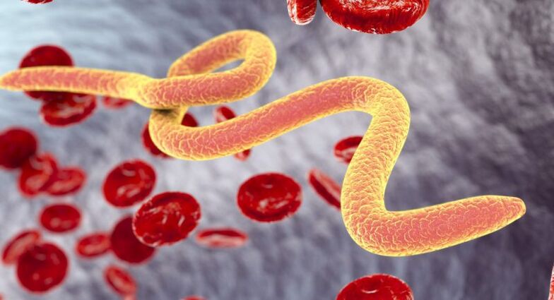 Organismos parásitos